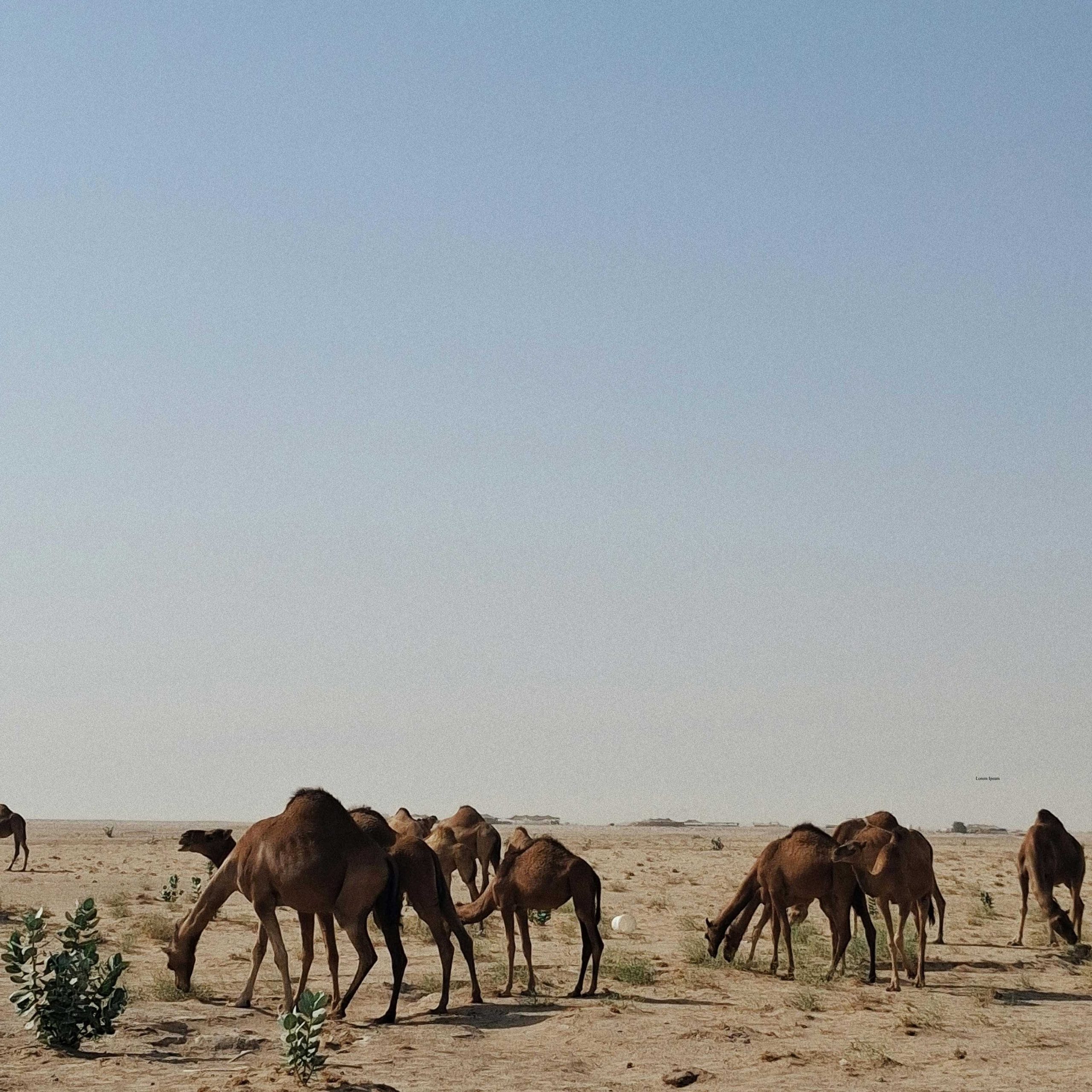 Pexels Nien Tran Dinh 788736 1654748 2 Scaled 1