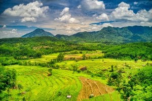 Travel Hidden Gems in Java Indonesia